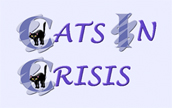 Cats In Crisis