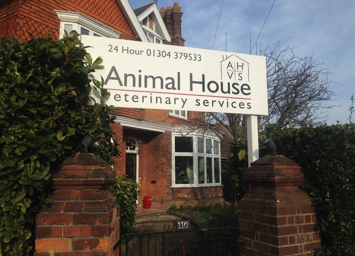 Animal House Vets Surgery - Premier Veterinary Care in Deal, Kent