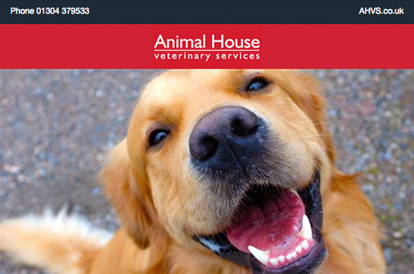 Newsletter - Animal House Vets - Premier Veterinary Care in Deal & Herne Bay