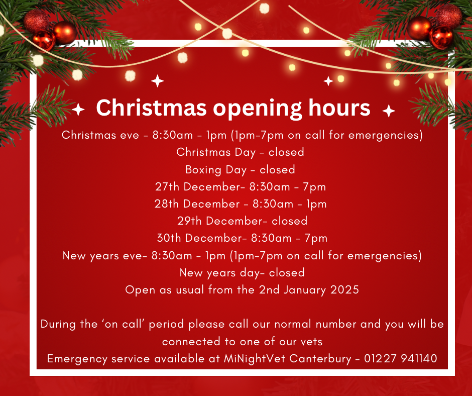 Christmas Opening Times 2024